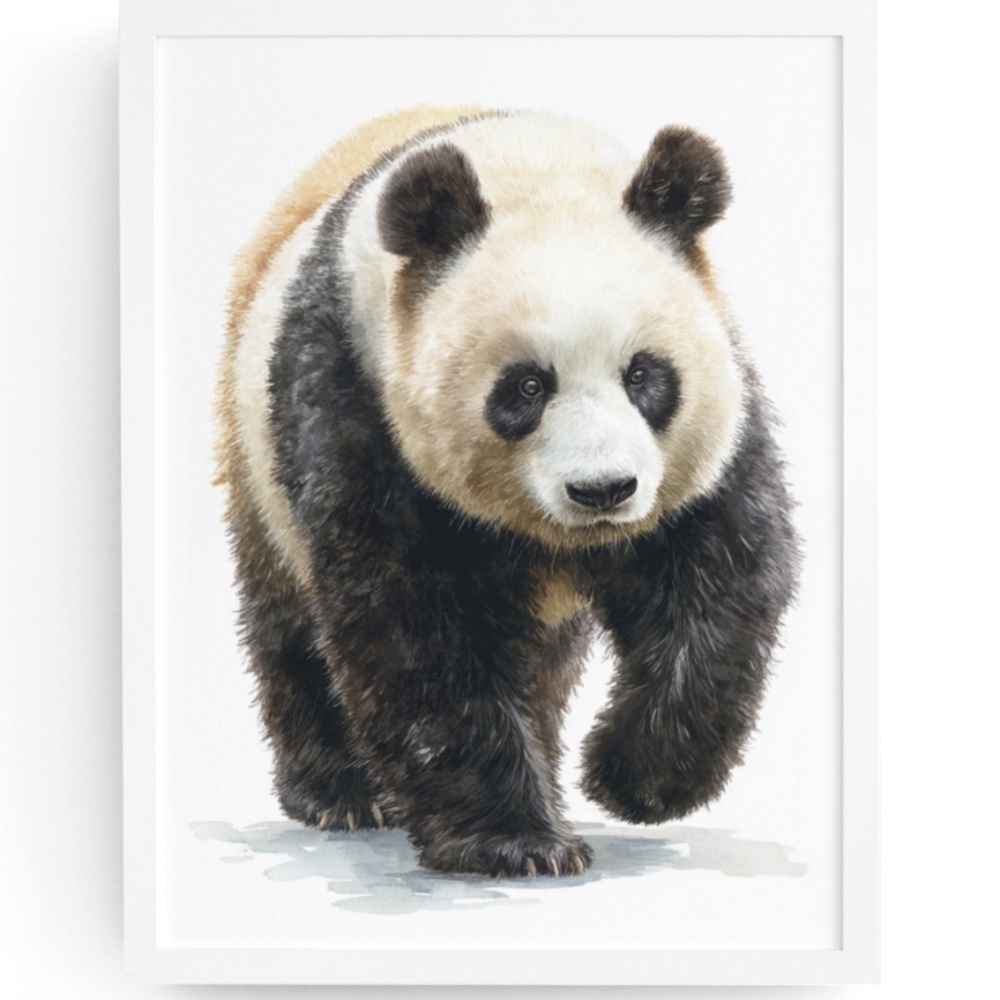 Watercolor Panda Bear Wall Art Print Poster Ilustration - Umframed